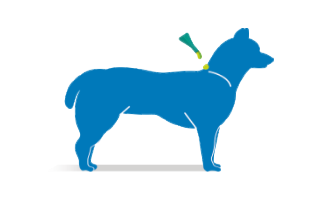 pipette frontline mode emploi etape 3