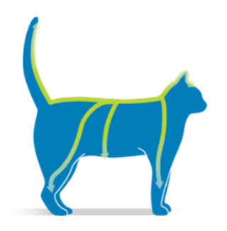 pipette frontline mode emploi etape 4