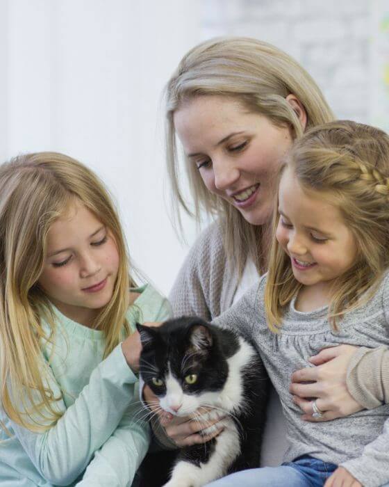 chat entouré d'une femme et deux petites filles