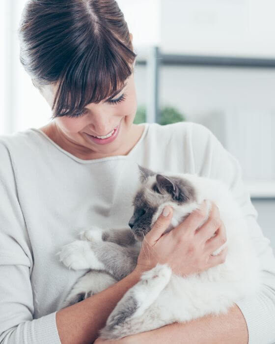 chat dans les bras d'une femme