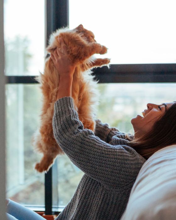 chat dans les bras d'une femme