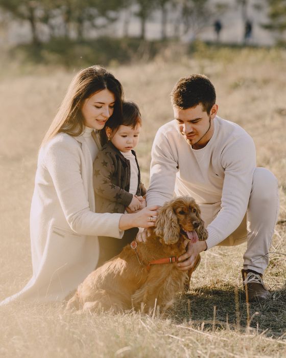 chien assis dans l'herbe entouré de sa famille