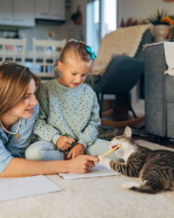 chat qui mordille un crayon