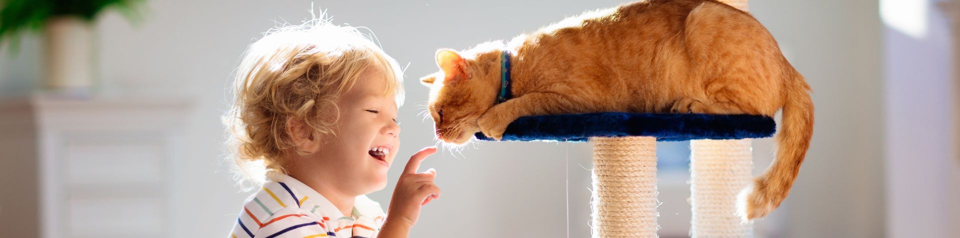 enfant qui joue avec un chat
