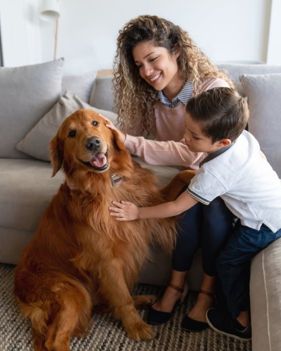 chien assis et caressé par une mère et son fils