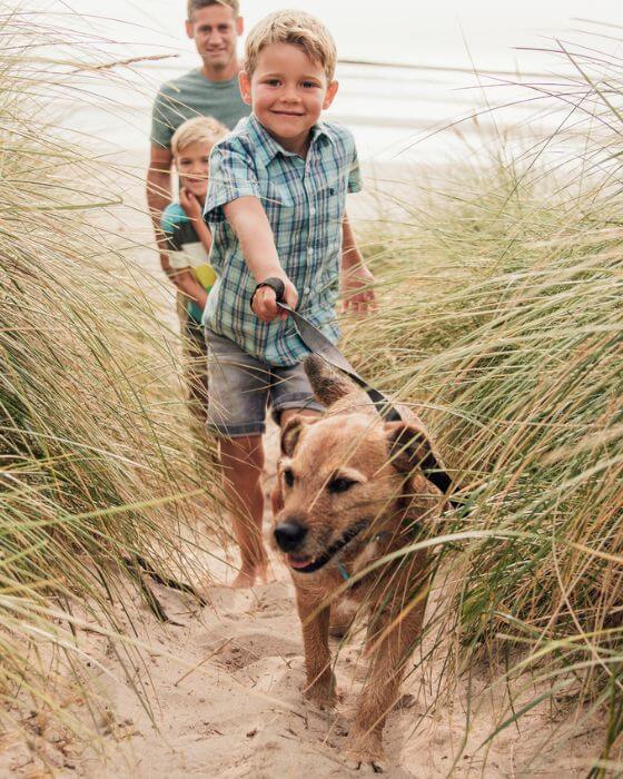 chien en balade sur la plage