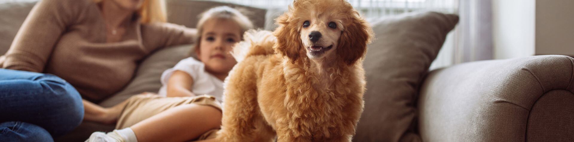 chien sur canapé avec mère et enfant