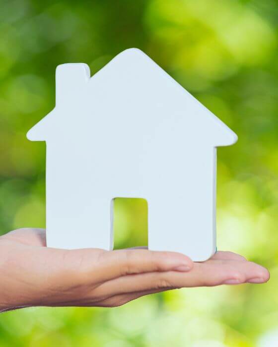 anti puce maison - desinfecter la maison des puces