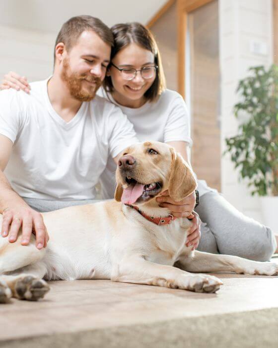 chien allongé et caressé par un couple