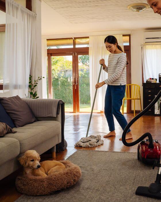 chien dans son panier et couple faisant le ménage