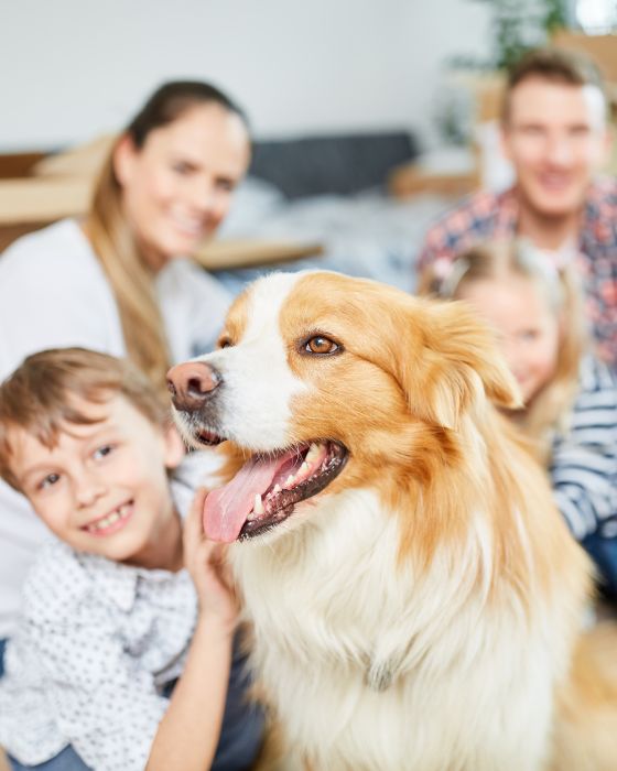 chien tirant la langue à côté d'un petit garçon