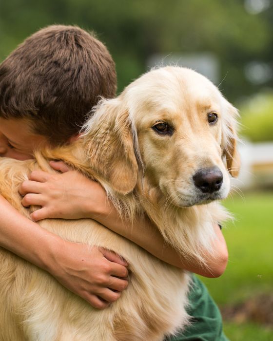 enfant faisant un câlin à un chien