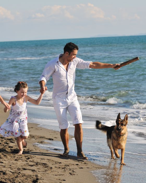 chien en balade sur la plage