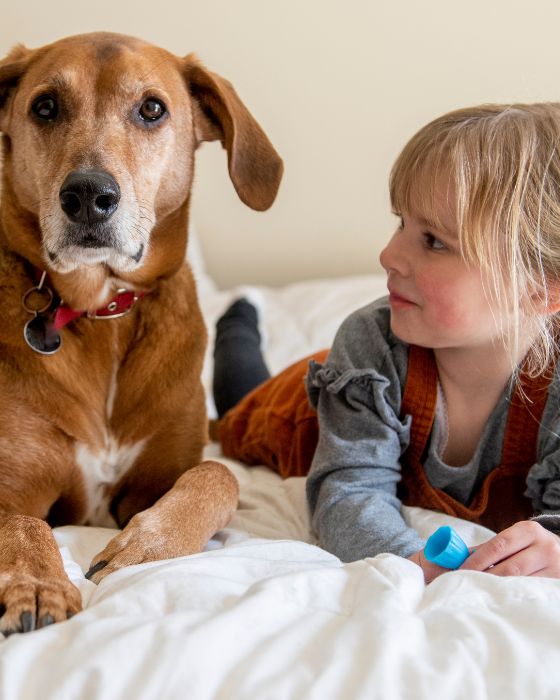 chien et une petite fille allongés sur un lit