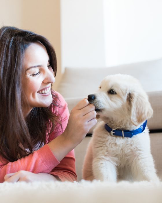 chiot et femme allongés sur tapis