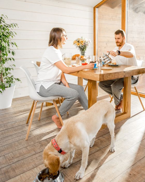 chien et famille en train de manger