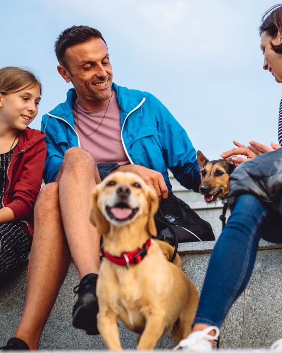 chiens entourés de parents et enfant