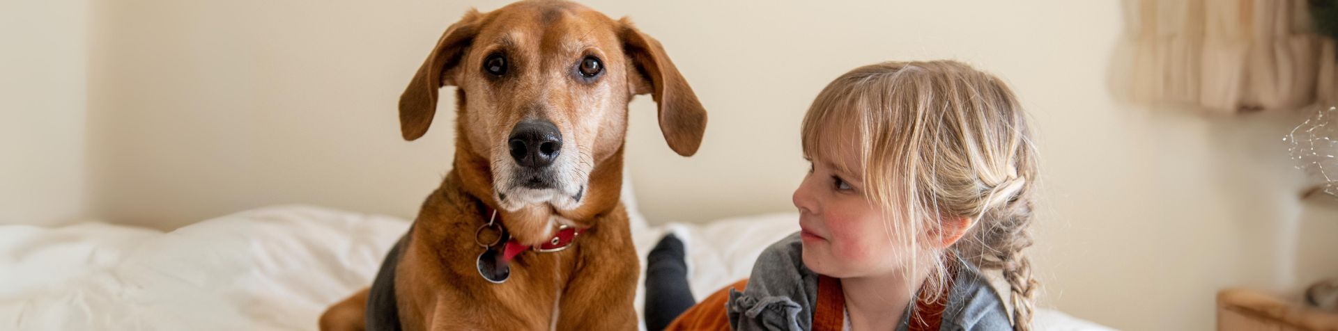 chien et petite fille allongés sur un lit