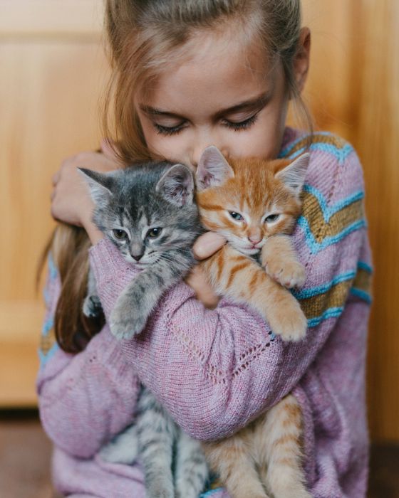 vers chat traitement - chatons dans les bras d'une petite fille