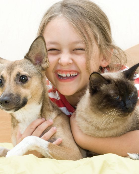 chat et chien dans les bras d'une petite fille