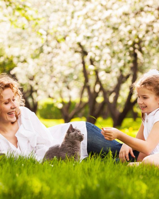 chat dans l'herbe avec mère et fille