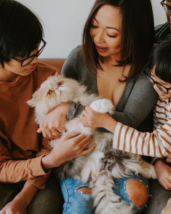 vers intestinaux chat - chat dans les bras de sa famille