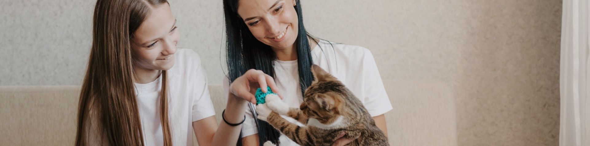 vers chat - chat dans les bras d'une femme