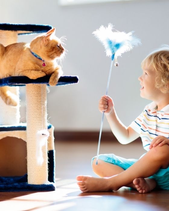 chat sur son arbre à chat et faisant face à un enfant