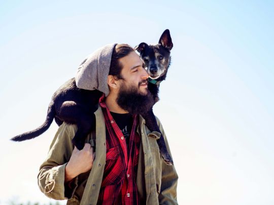 parasites du chien - produit anti tique anti puce chien