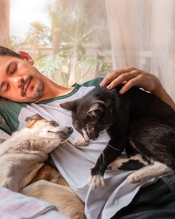 parasites externe puce