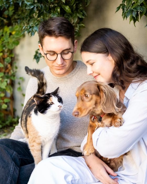 parasites externe tiques