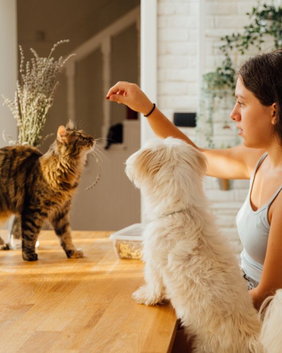 parasites interne hero