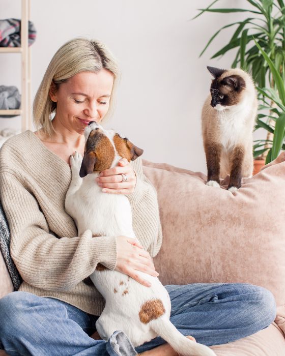 parasites interne hero