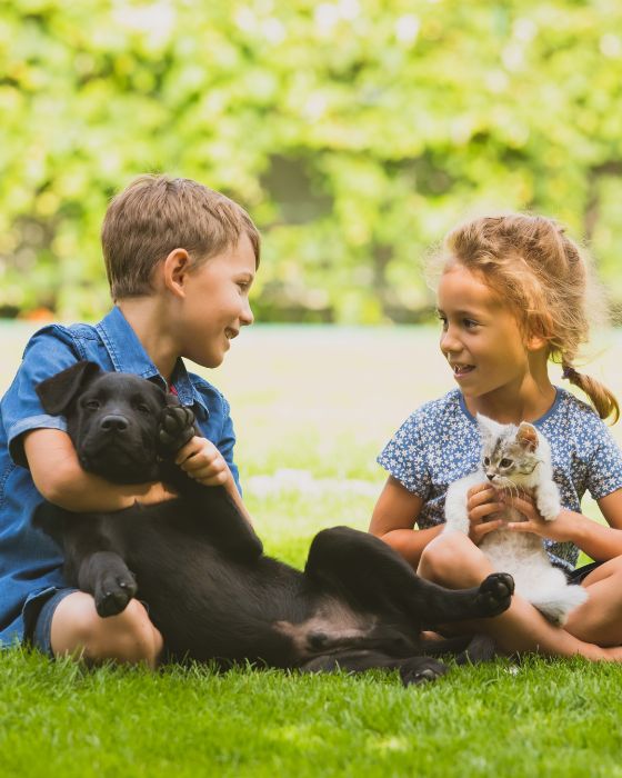 parasites maladies dermatite