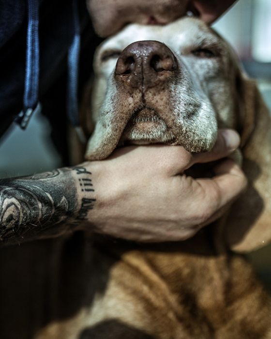 parasites maladies maladie lyme