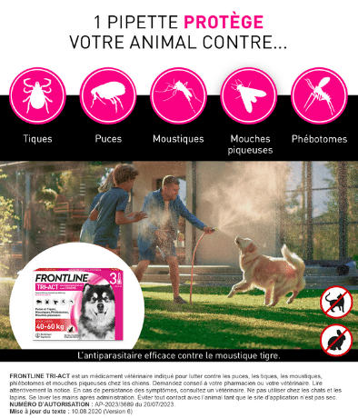 40-60kg tri act chien