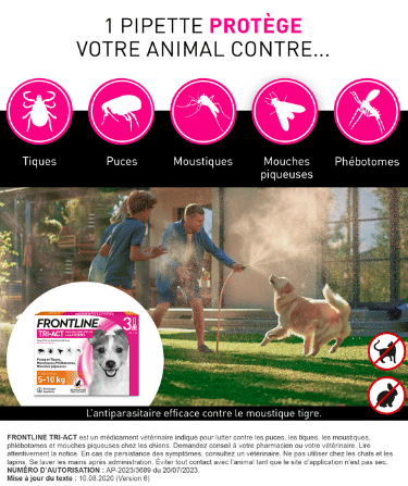 5-10kg tri act chien