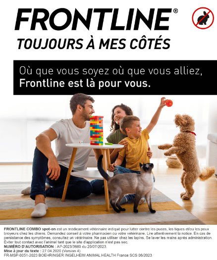 Combo chien Mise en situation - pipette traitement antiparasitaire chien puce tique