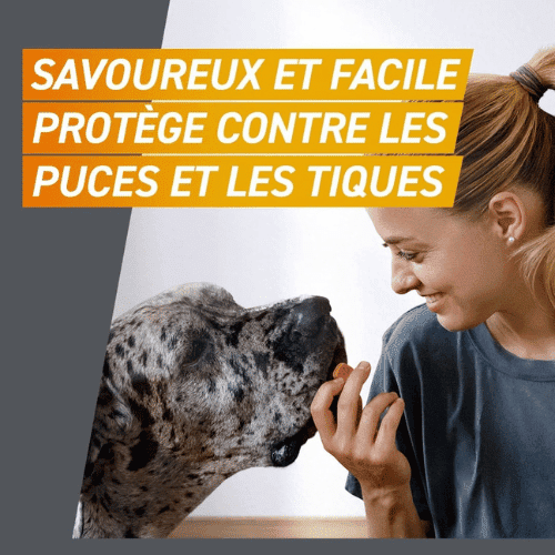 comprimé au goût savoureux