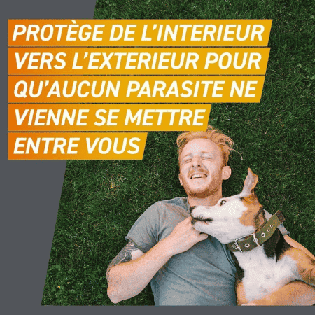 frontpro cachet antiparasitaire anti puce anti tique qui protège de l'intérieur vers l'extérieur