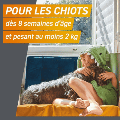 frontpro cachet anti puce anti tique antiparasitaire chiot