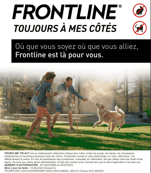 Tri act chien_Mise en situation.png