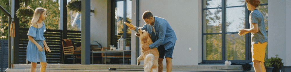 chien jouant dans le jardin en famille - produit anti tique anti puce chien