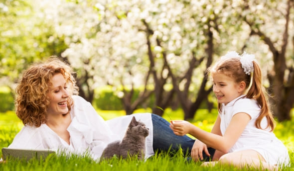 produit anti puce chat anti tique chat