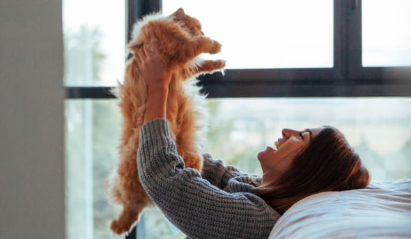 anti puce et tique chat