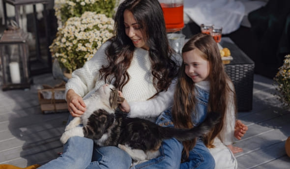 produit anti puce et tique chat