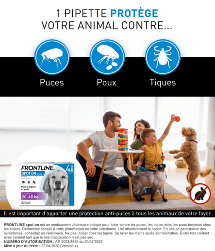 20-40kg spot on chien