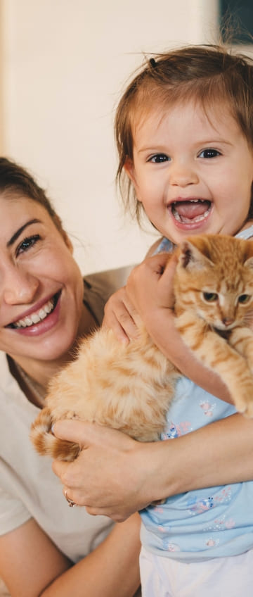 produit anti puce anti tique chat