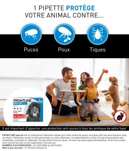 40-60kg spot on chien