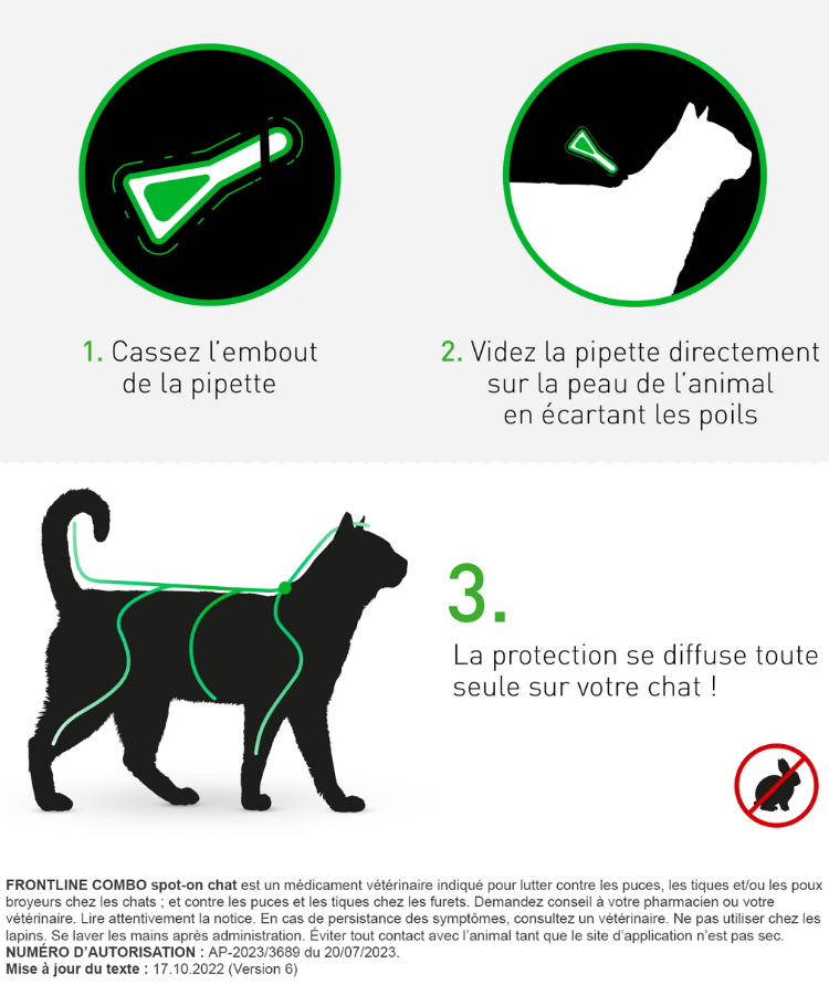 traitement contre puces chat - Combo chat